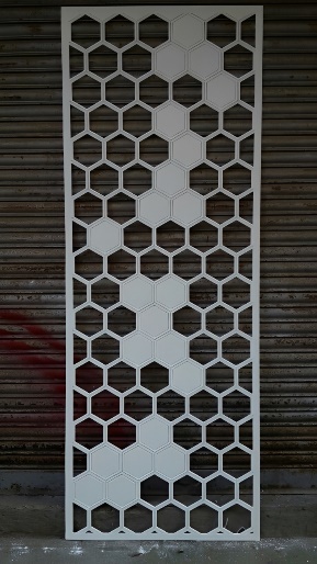 Fasad ACP foto 3