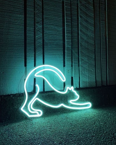 Neonflex foto 3